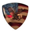 The Screaming Eagle Full Color 1gram Silver Magnetic Charm